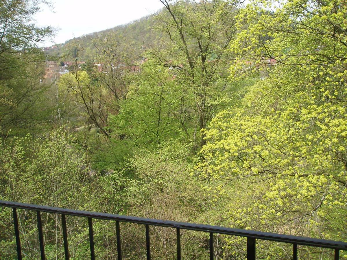 Pension/Bed And Breakfast Pangea Bad Lauterberg Exterior photo